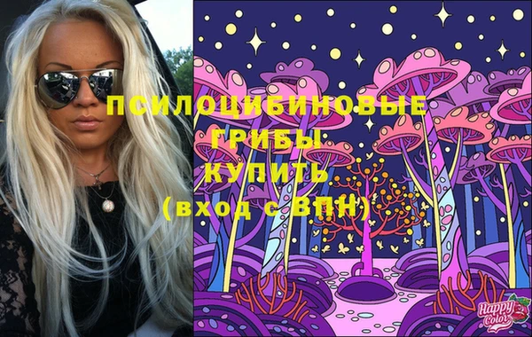 ешки Абинск