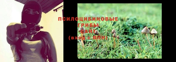 ешки Абинск