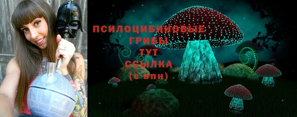 ешки Абинск